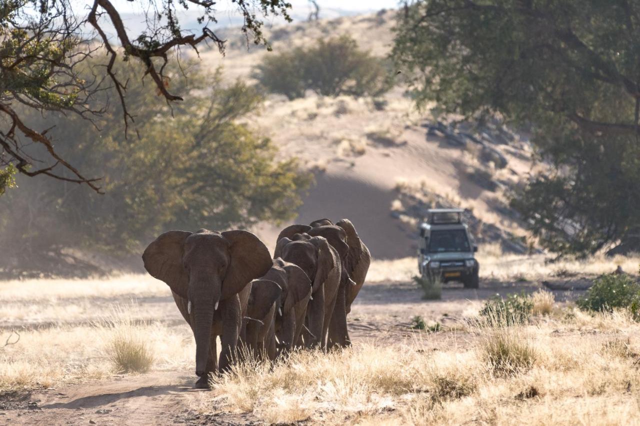 Twyfelfontein Wilderness Safaris Damaraland Campヴィラ エクステリア 写真